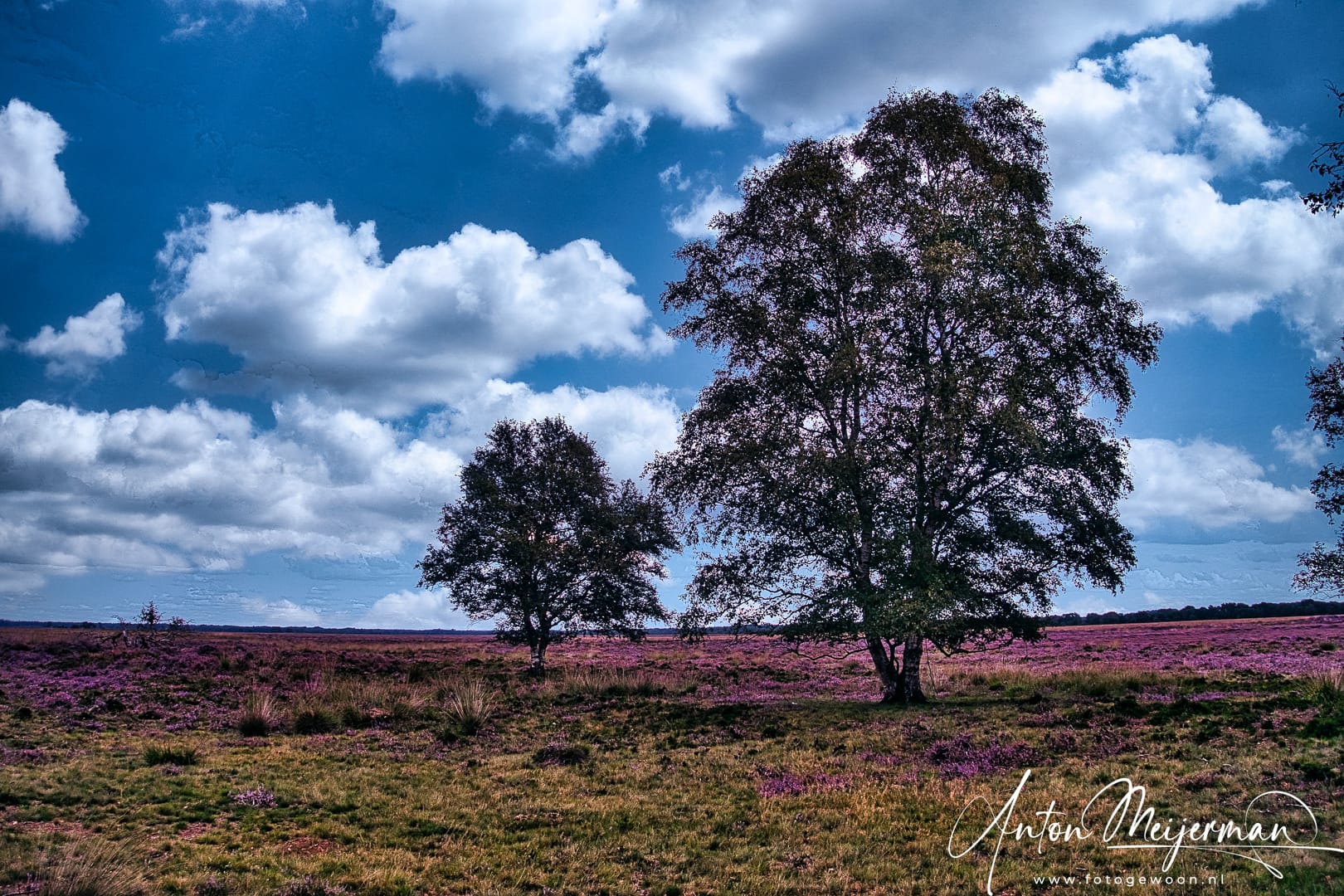 Heide-Dwingelderveld