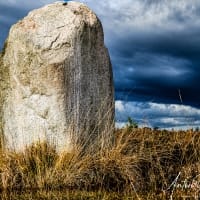 Steen-op-het-Dwingelderveld-