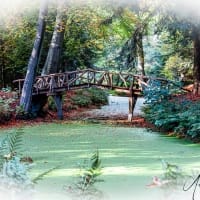Bruggetje-Landgoed-Fraeylemaborg-Groningen