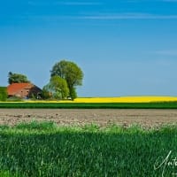 Het-Hoge-Land-Groningen